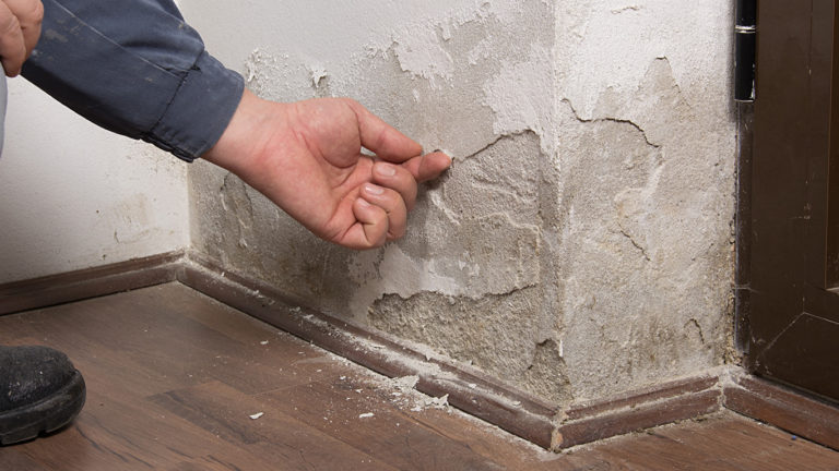 Does Prokil deal with damp proofing? - Prokil