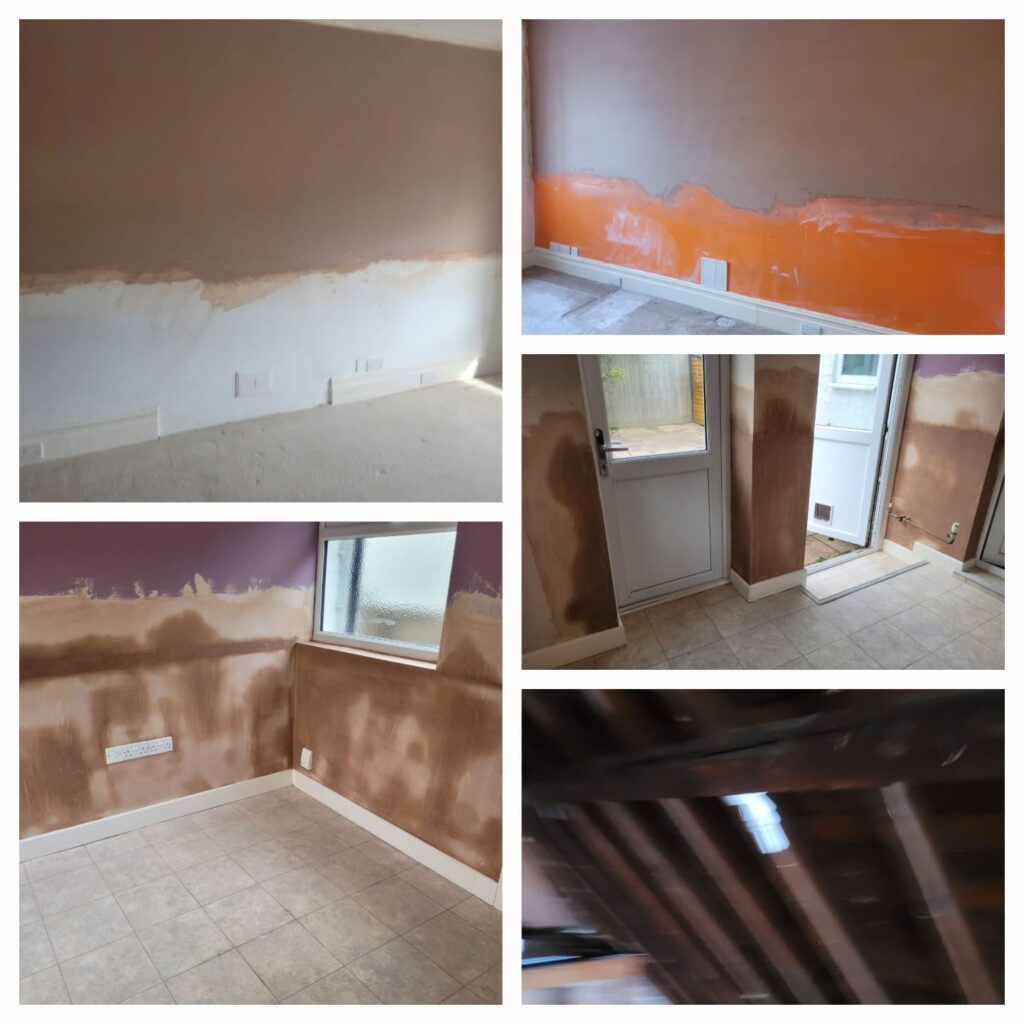 Damp proofing and woodworm treatment in Poole